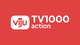 viju ТВ 1000 Action