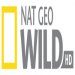 NatGeoWild